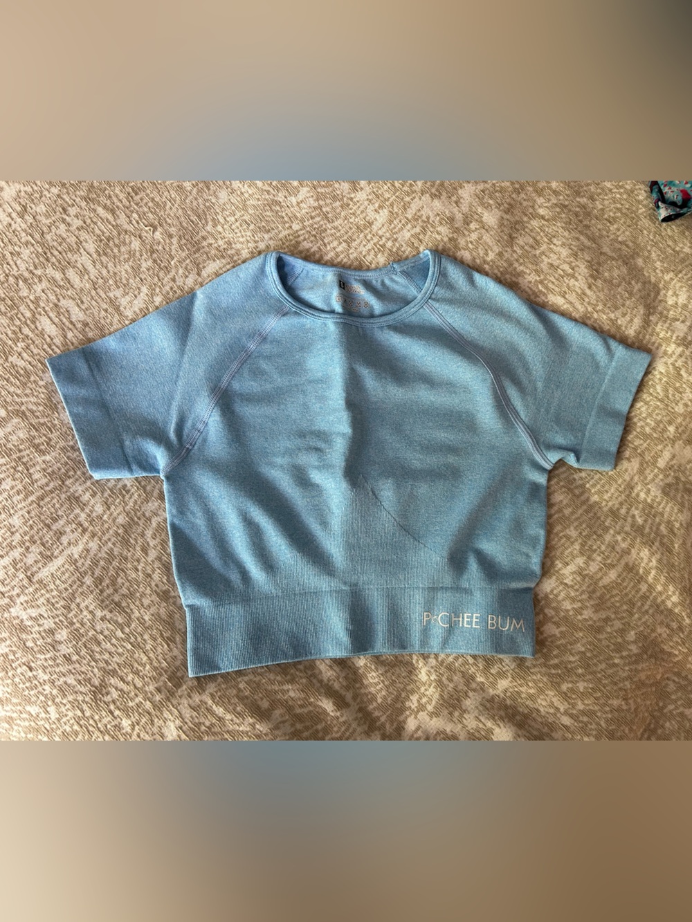 PcheeBum Blue Cropped Workout Top